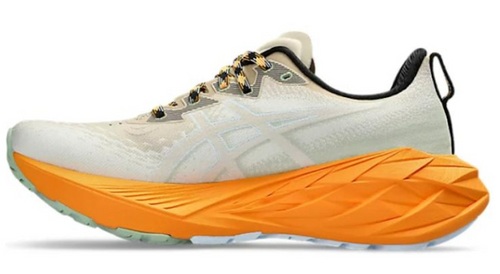 ASICS Novablast 4 TR