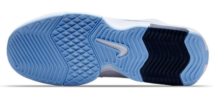 Nike Lebron Witness VIII