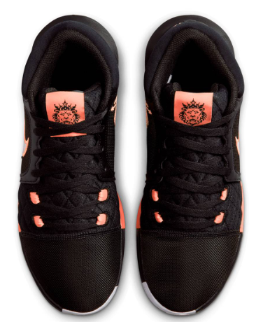 LeBron Witness VIII