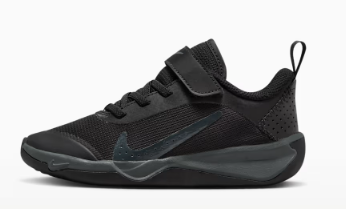 Nike Omni Multi-Court
