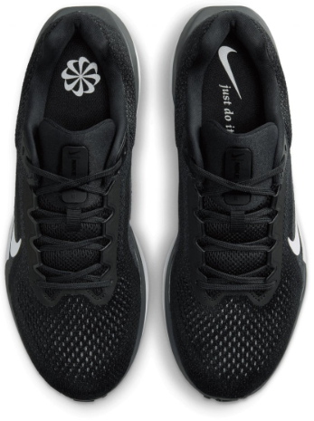Nike winflo 11